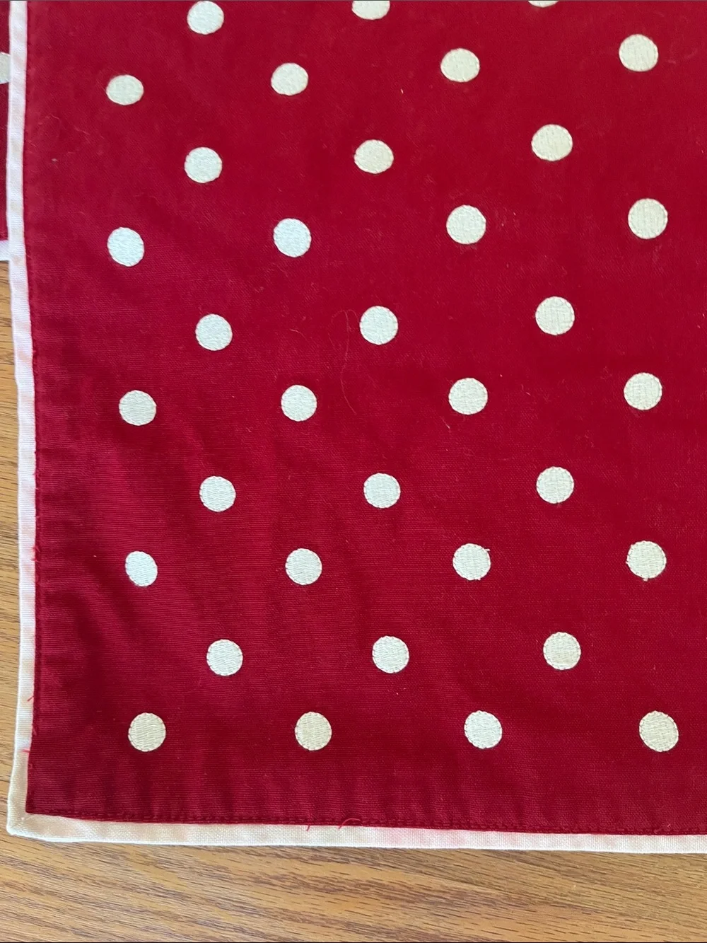 Pottery Barn polka dot embroidered cotton table runner 18 x 66” rectangular